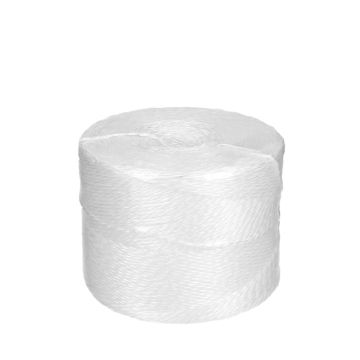 Poly Paktouw 2/800 2 draads 750 meter Wit