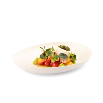 BIO Bord Suikerriet 150x120mm Wit Bagastro