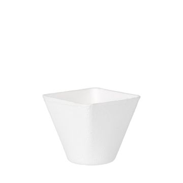 BIO Bagastro Amuse cup Suikerriet 60ml Wit